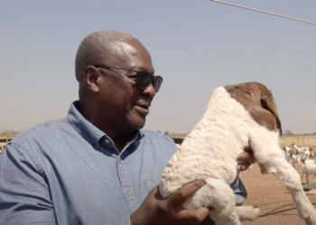 Farming is my life, and it’s my retirement plan – President-elect Mahama